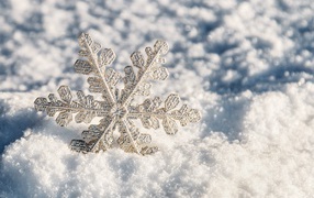 Красивая снежинка лежит на белом снегу
