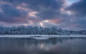 Холодное небо с облаками над заснеженными деревьями у реки
