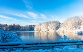 Заледеневшее озеро с покрытыми инеем деревьями на берегу зимой