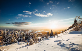 Заснеженные склоны с елями на фоне голубого неба