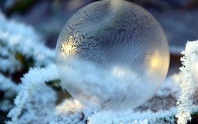 Мыльный пузырь замерзает на морозе 