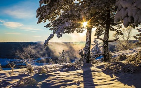 Яркое зимнее солнце прогревает заснеженную землю 