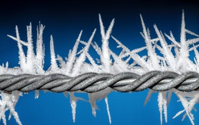 Проволока с инеем на синем фоне 