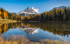 Mountain and forest are reflected in the water of the lake, Italy