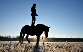 Девушка стоит на коне на фоне рассвета 