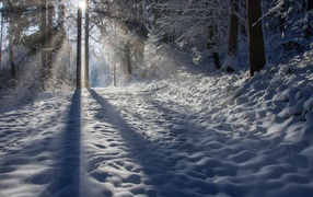 The sun's rays illuminate the snowy road