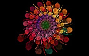 Красивые разноцветные абстрактные цветы в спирали на черном фоне