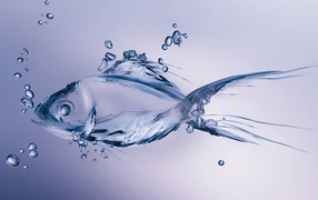 Рыба из воды на синем фоне