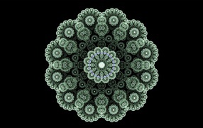 Кружевной зеленый фрактальный цветок на черном фоне