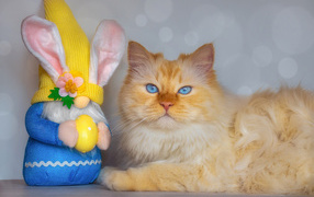 Рыжий кот с игрушечным гномом 