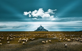 Стадо овец пасется у старого монастыря