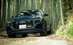 2021 Audi RS Q8 car in the woods