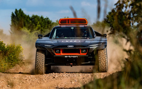 Внедорожник Audi RS Q E-Tron 2022 года