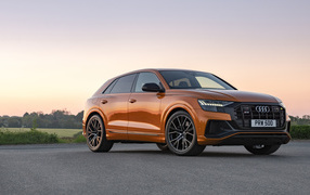 2021 Audi SQ8 TFSI crossover side view