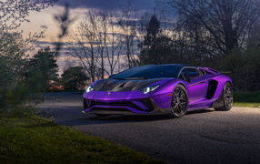 Фиолетовый автомобиль Lamborghini Aventador на дороге