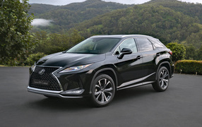 Стильный черный автомобиль Lexus RX 300 Crafted Edition 2021 года
