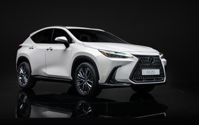 Белый автомобиль Lexus NX 250, 2021 года на черном фоне