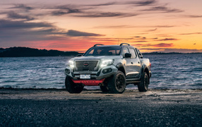 Внедорожник Nissan Navara PRO-4X, 2021 года у воды