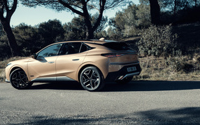 Автомобиль DS 4 Cross 2021  года вид сзади