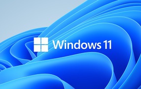Красивая заставка windows 11