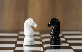 Черный и белый шахматный конь