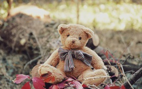 Маленький плюшевый мишка сидит на земле 