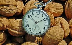 Карманные часы с грецкими орехами 