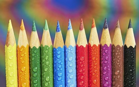 Острые разноцветные  карандаши в каплях росы 