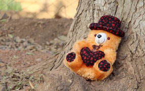 Teddy bear lies under a tree