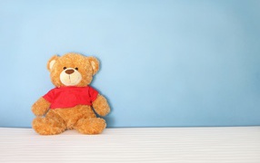 Плюшевый мишка на фоне голубой стены