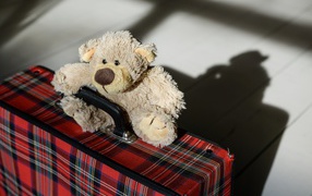 Teddy bear with a large suitcase