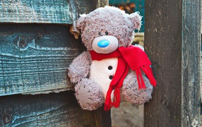Медвежонок Тедди с красным бантом на заборе 