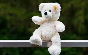 Белый плюшевый медведь сидит на деревянной доске