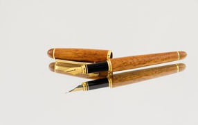 Деревянная ручка перо на сером фоне