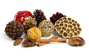 Ароматные специи и шишки на белом фоне 