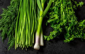 Green onions with parsley and dill on a black table