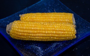 Два желтых початка кукурузы на синей тарелке