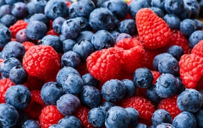 Синие ягоды черники и малины крупным планом