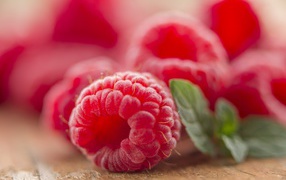 Крупная красная малина на столе с листьями мяты