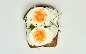 Piece of black bread with boiled egg