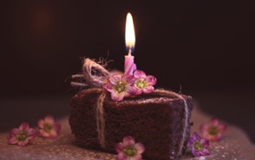 Кусок торта на столе с розовыми цветами и свечкой