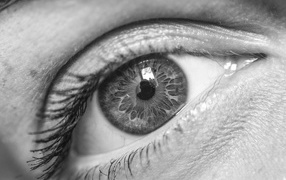 Красивый глаз девушки черно-белое фото