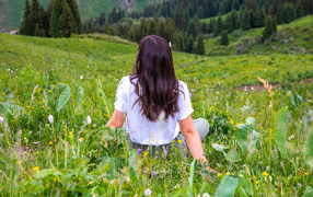 Красивая молодая девушка сидит на поле с зеленой травой