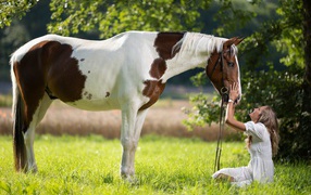 Девушка блондинка с лошадью на зеленой траве
