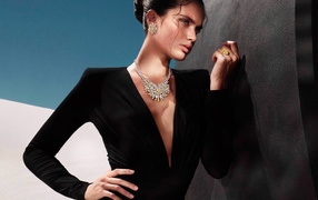 Красивая девушка модель  Сара Сампайо в черном платье