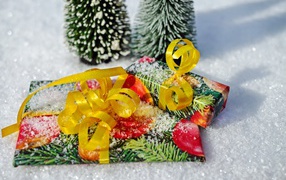 Два подарка с бантами на снегу 