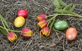 Крашеные яйца с тюльпанами на сене на праздник Пасха 2021