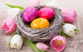 Three multi-colored eggs in a nest with tulips for the Easter holiday