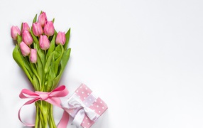 Bouquet of pink tulips and a gift on a gray background on March 8