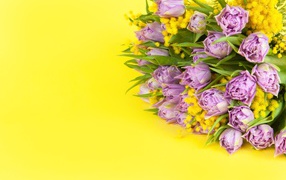 Букет тюльпанов с мимозой на желтом фоне, шаблон на 8 марта